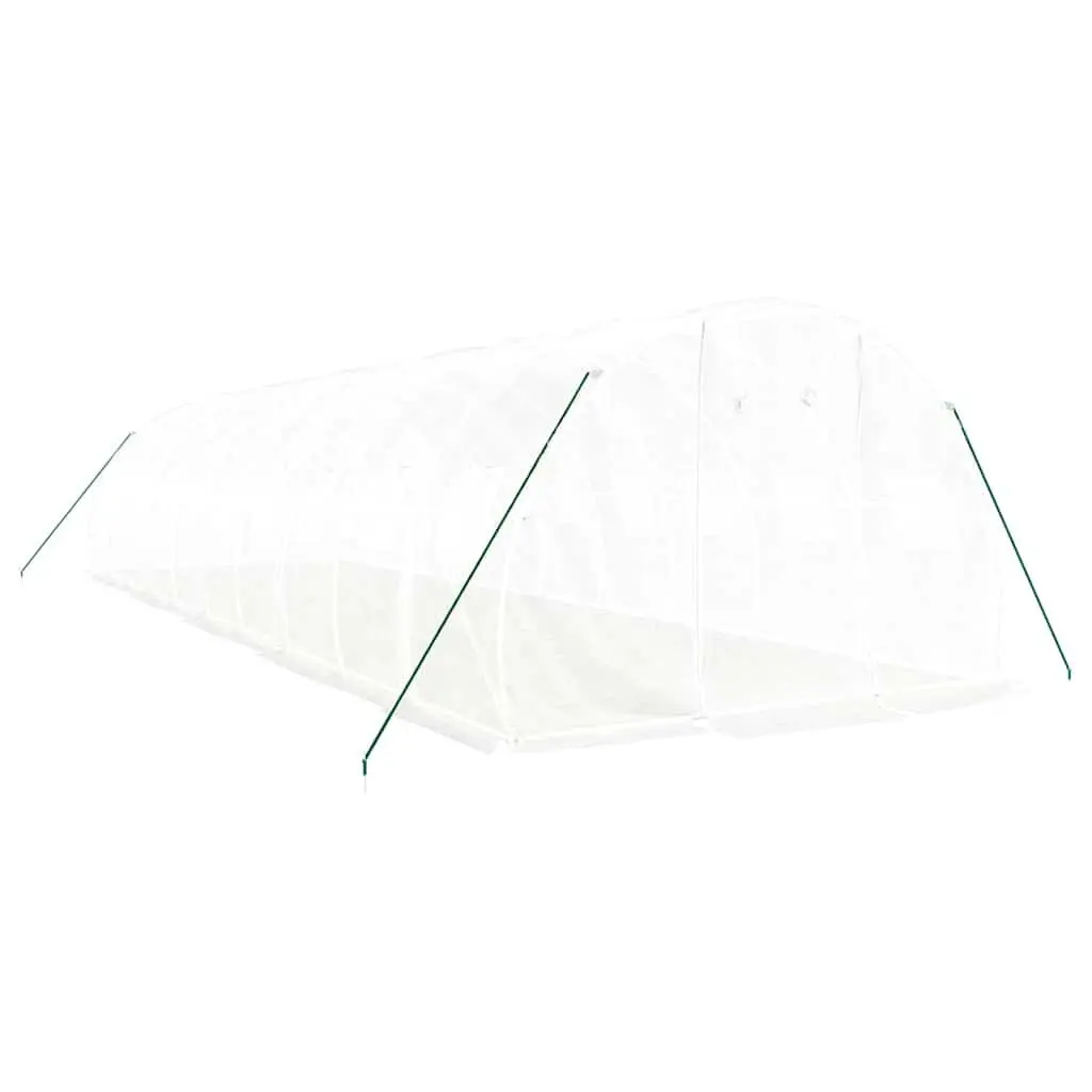 Greenhouse Garden 10x3x2m White Steel Frame Outdoor Plant House
