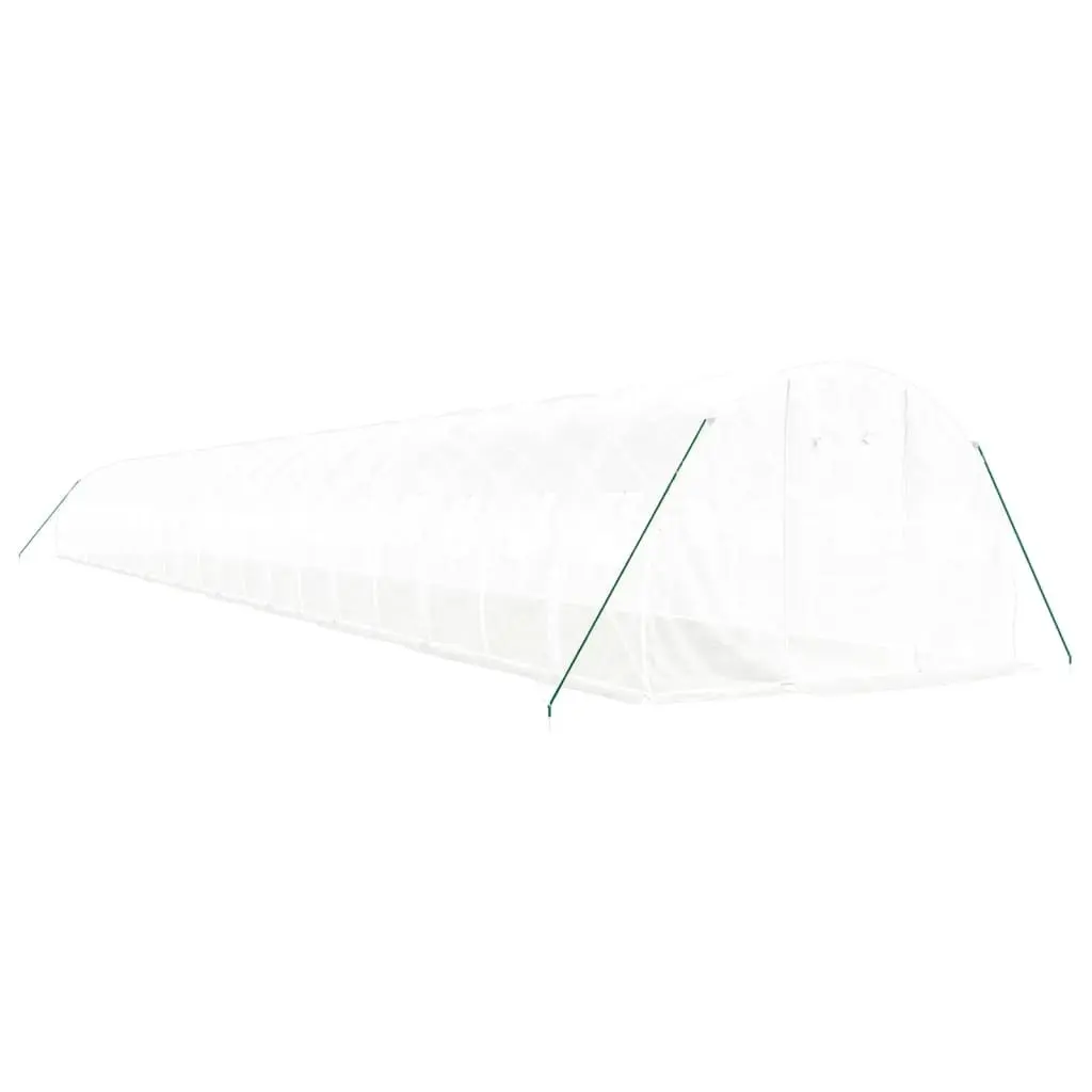 Greenhouse for Garden 22x3x2m Steel Frame White 66m² Roll-up Door Mesh Windows