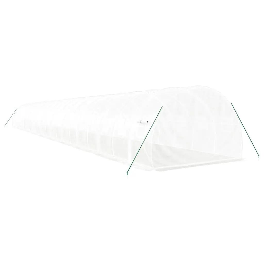 Greenhouse for Garden 22x3x2m Steel Frame White 66m² Roll-up Door Mesh Windows