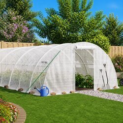 48m² Greenhouse Specifications: 12x4x2m Steel Frame