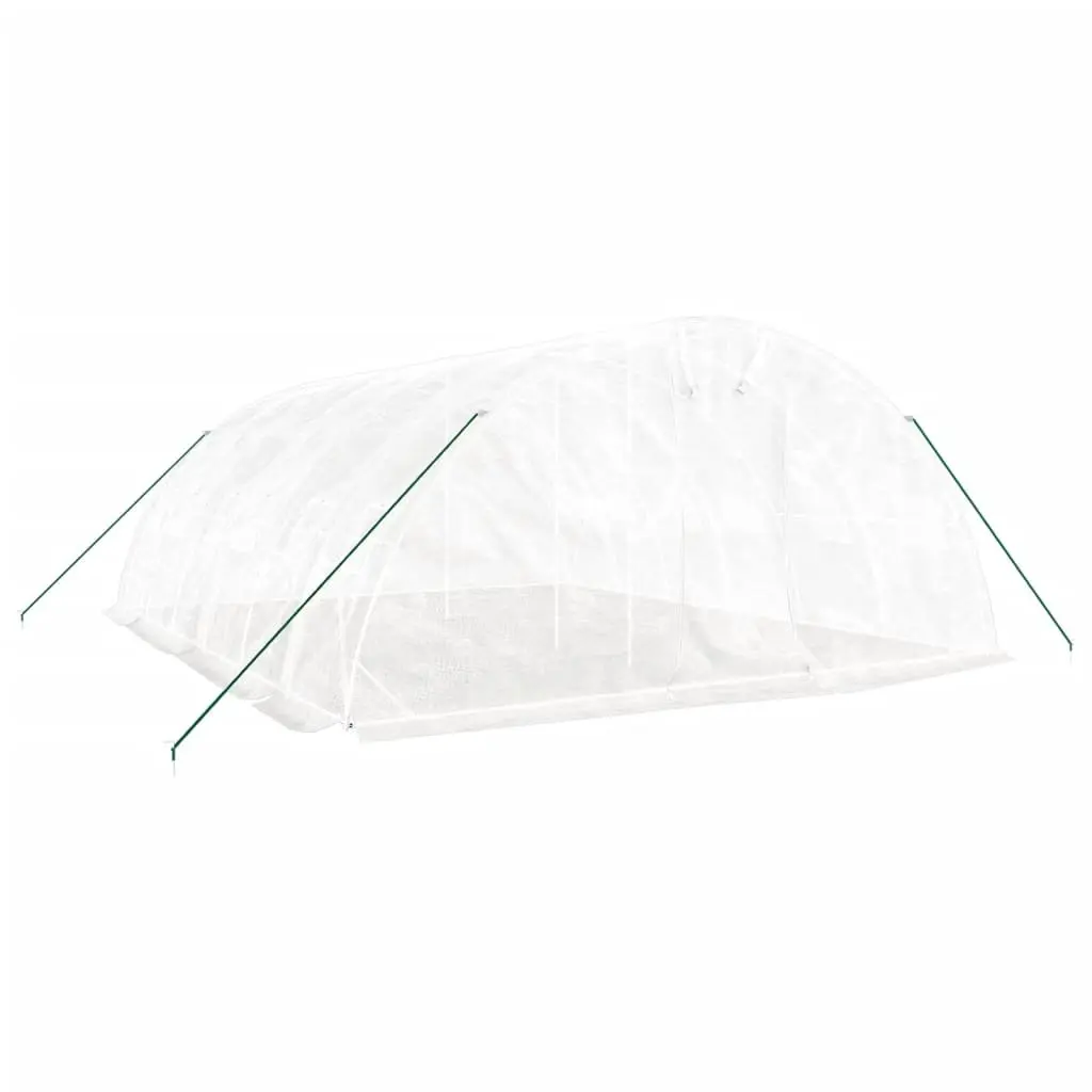 30 m² Greenhouse with Steel Frame