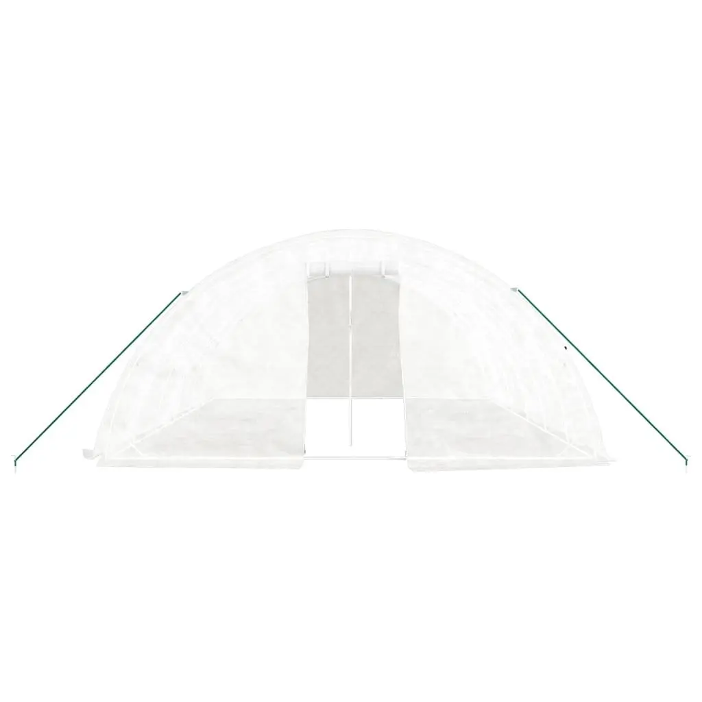 30 m² Greenhouse with Steel Frame