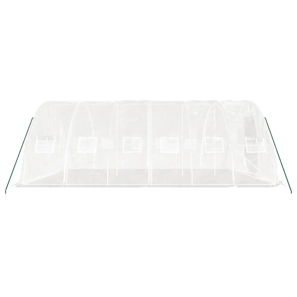 30 m² Greenhouse with Steel Frame