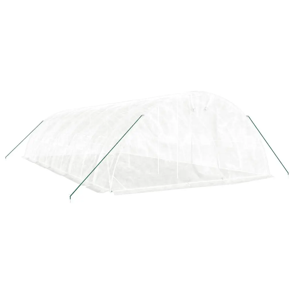 Greenhouse for Garden 10x5x2.3m Steel Frame White