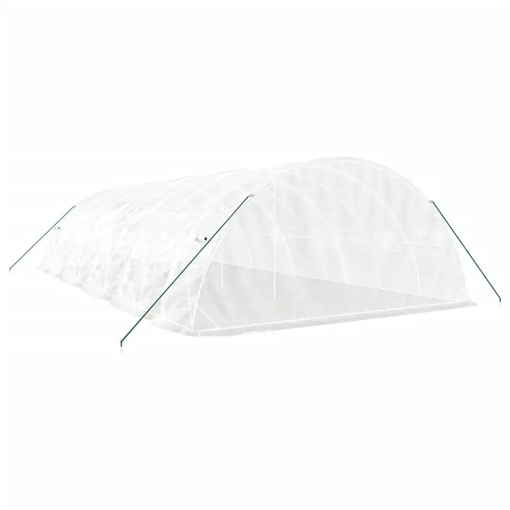 Greenhouse for Garden 10x5x2.3m Steel Frame White