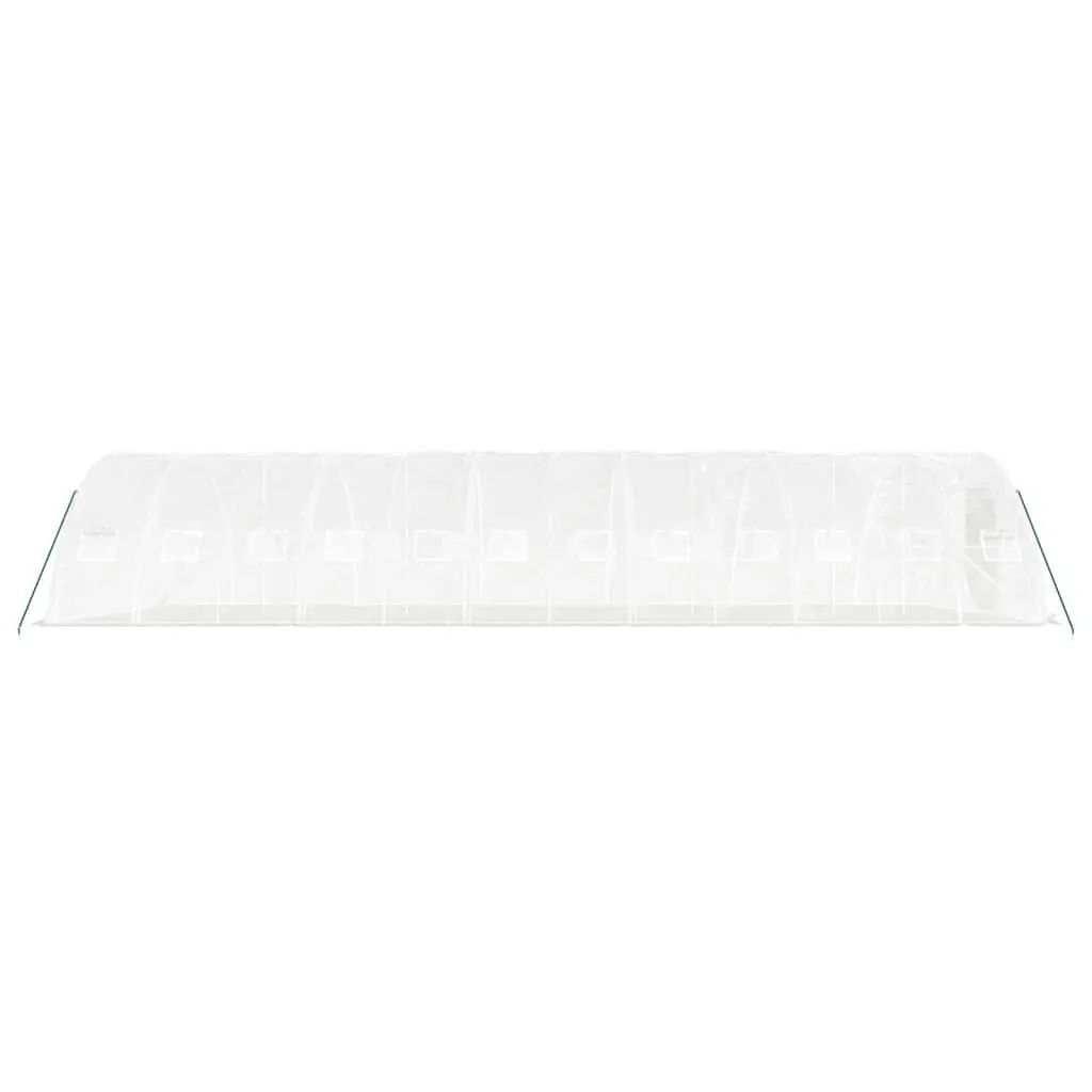 Greenhouse 12x5x2.3m Steel Frame PE Cover 60m² White Garden Plant House