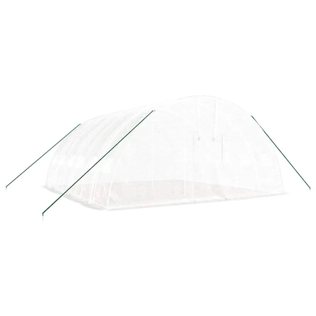 Greenhouse for Garden 6x6x2.85m Steel Frame White PE Cover