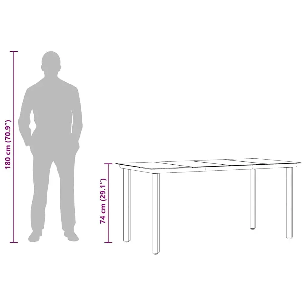 Garden Dining Table Outdoor 160x80x74cm Black Steel Frame Tempered Glass