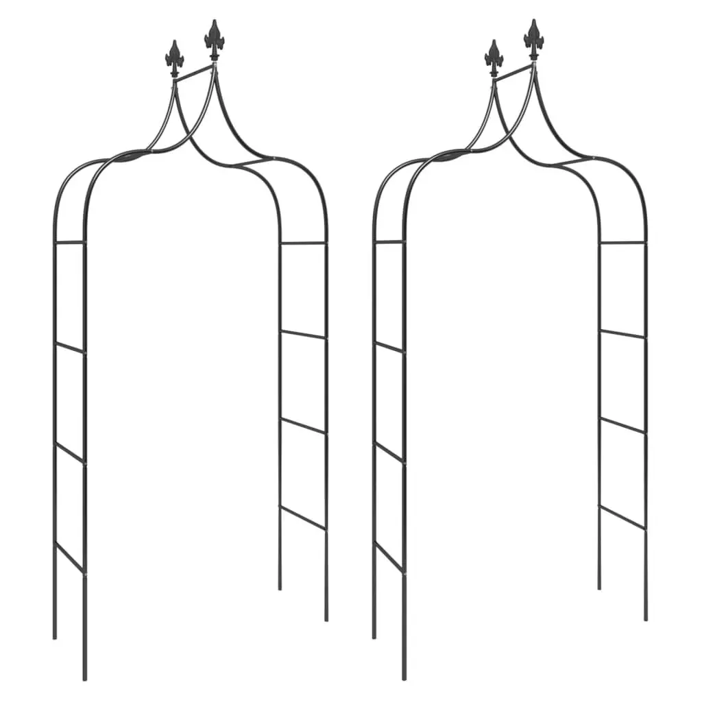 Garden Arch Set for Outdoor Use Black Steel Frame 2 Piece