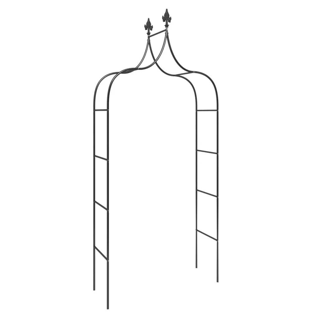 Garden Arch Set for Outdoor Use Black Steel Frame 2 Piece