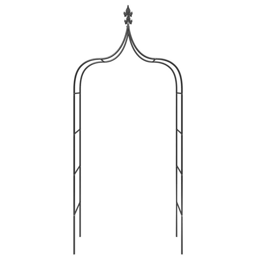 Garden Arch Set for Outdoor Use Black Steel Frame 2 Piece
