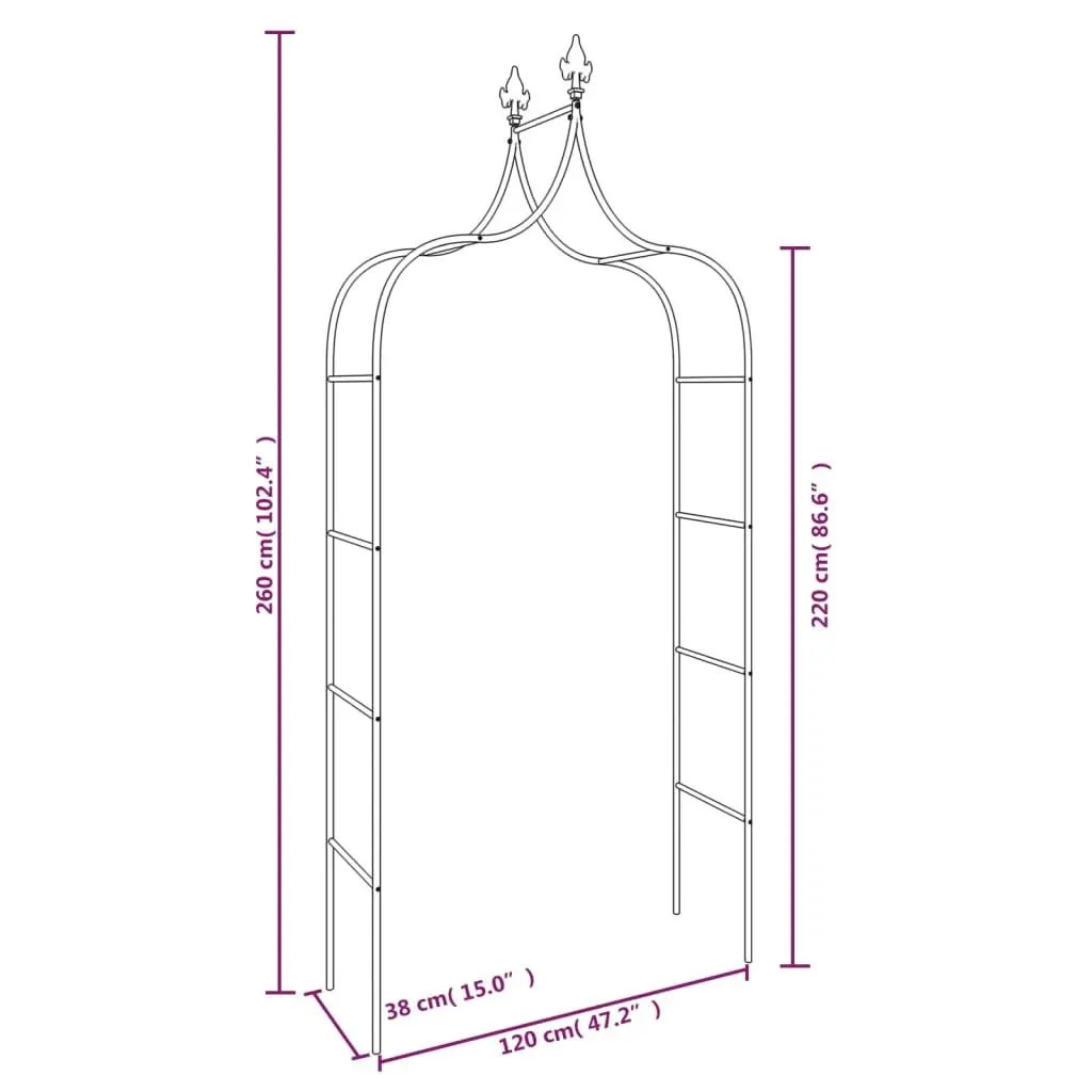 Garden Arch Set for Outdoor Use Black Steel Frame 2 Piece