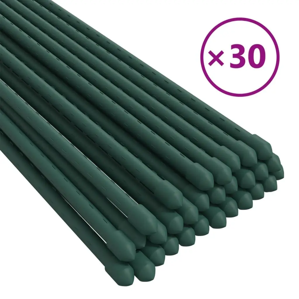 30 Plant Stakes at 180 cm for Support