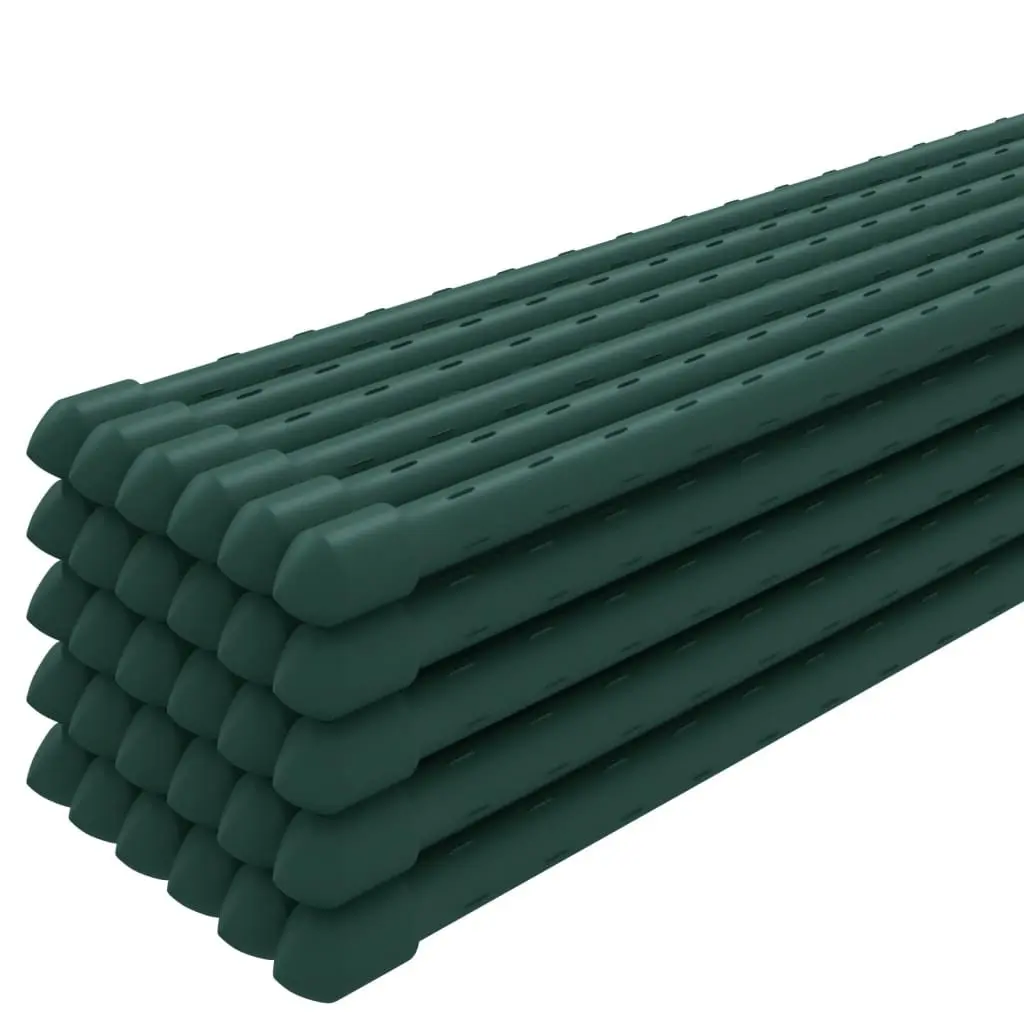 30 Plant Stakes at 180 cm for Support