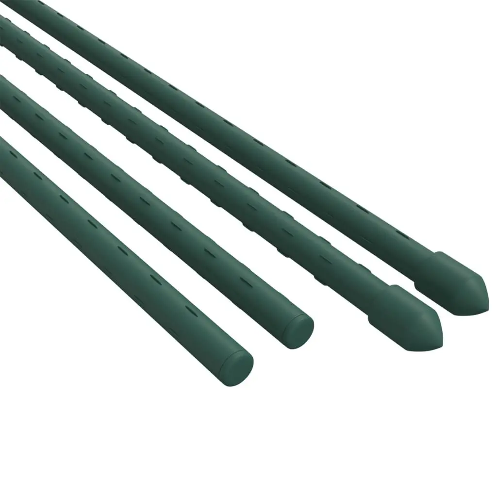 30 Plant Stakes at 180 cm for Support