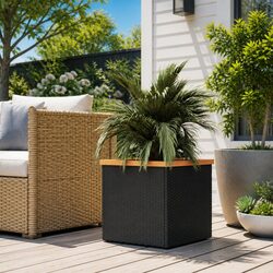 40x40x40 cm Black Planter with Steel Frame and Rattan Design