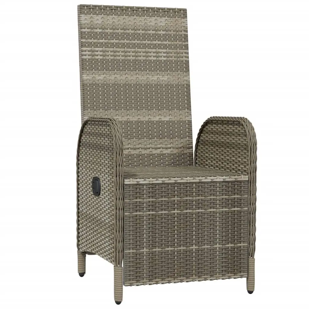 Outdoor Reclining Chairs Set for Garden Patio 2 pcs Grey