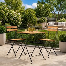 Folding Bistro Chairs 2-Pack: Steel and Teak Wood