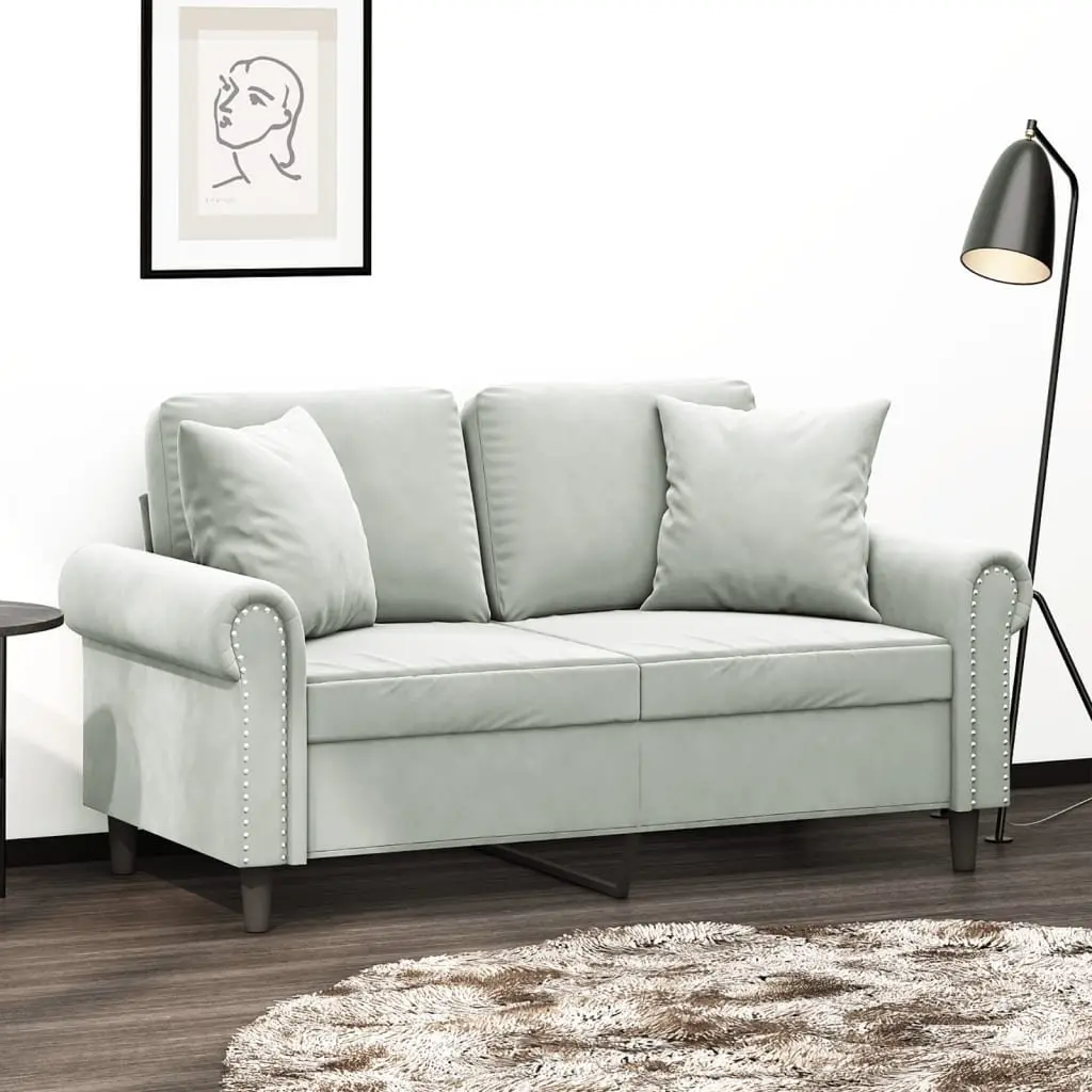 2-Seater Grey Velvet Sofa with Pillows