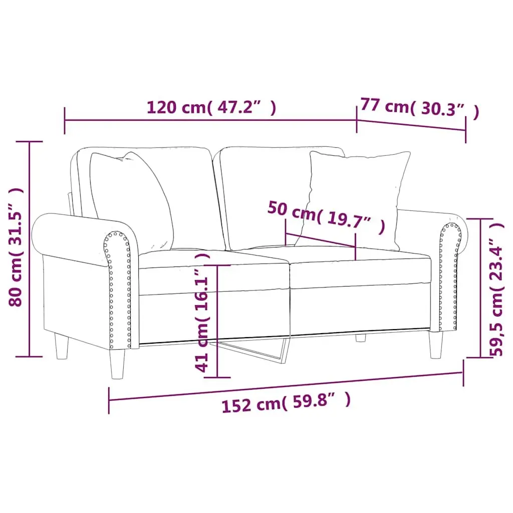 2-Seater Sofa for Living Room Black Velvet 120cm Modern Couch with Throw Pillows