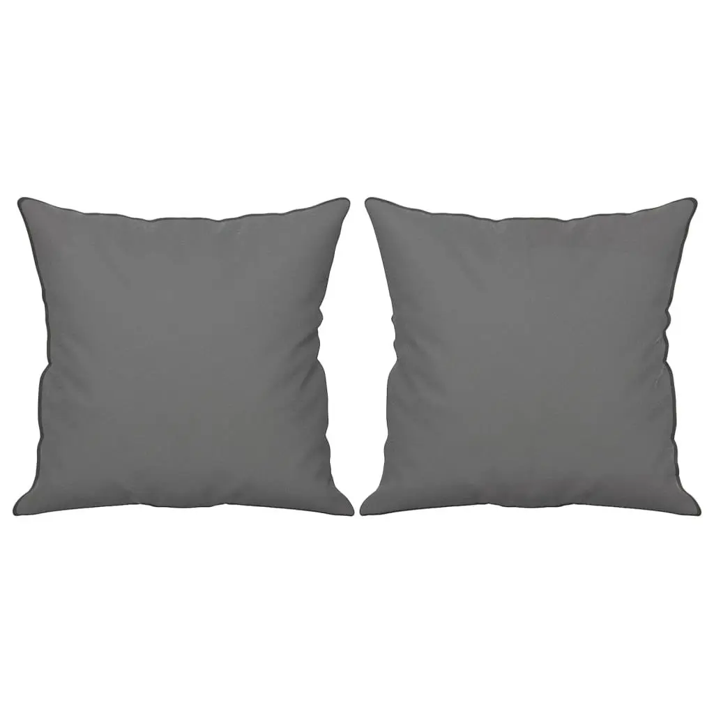 2-Seater Sofa Grey Modern Design Throw Pillows Comfortable Lounge Seat