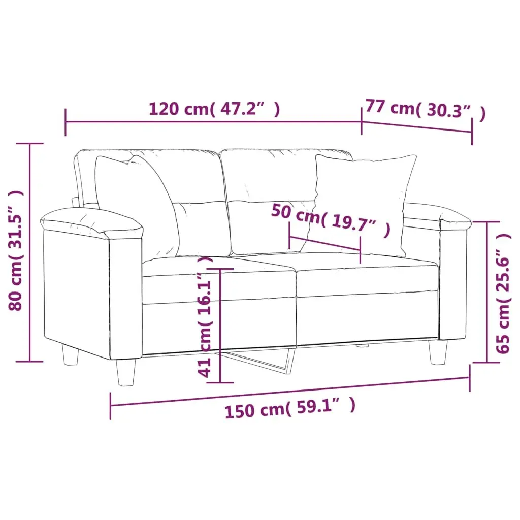 2-Seater Sofa Grey Modern Design Throw Pillows Comfortable Lounge Seat
