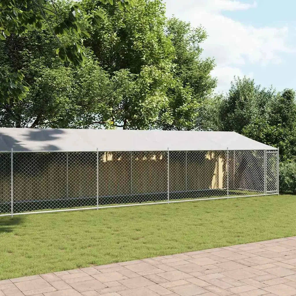 Grey Outdoor Dog Cage with Roof and Door