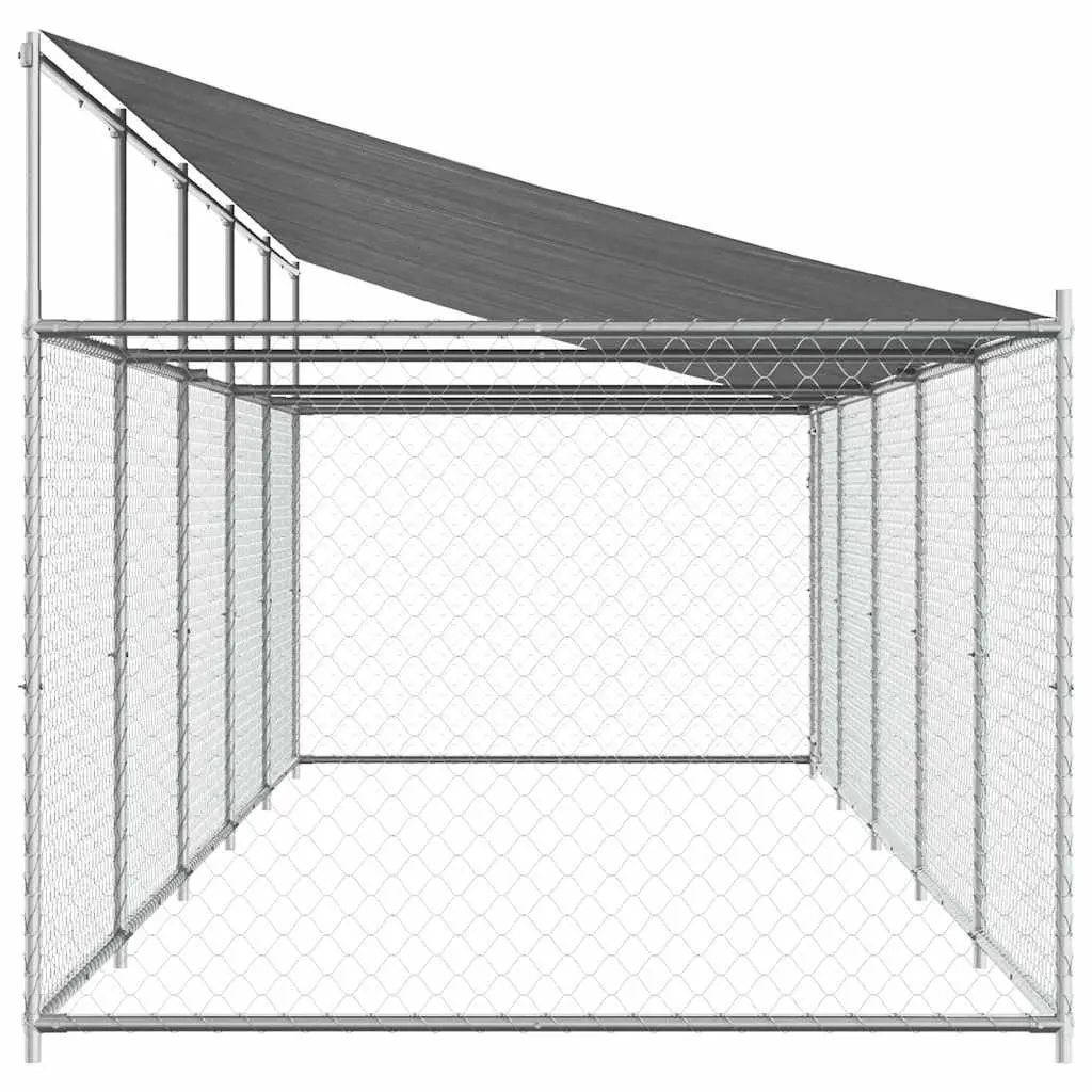 Grey Outdoor Dog Cage with Roof and Door