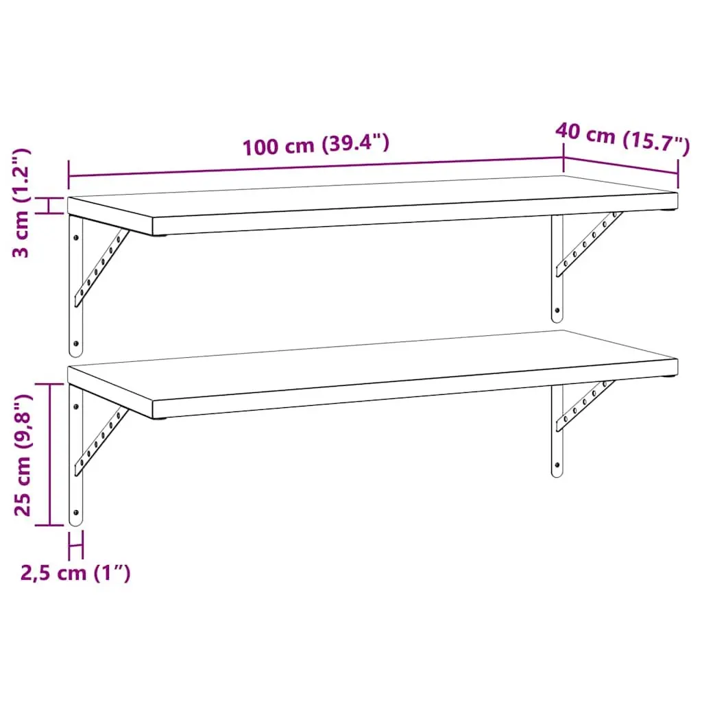 Wall Shelves 2 pcs 100x40 cm Stainless Steel Floating Storage Display Shelf