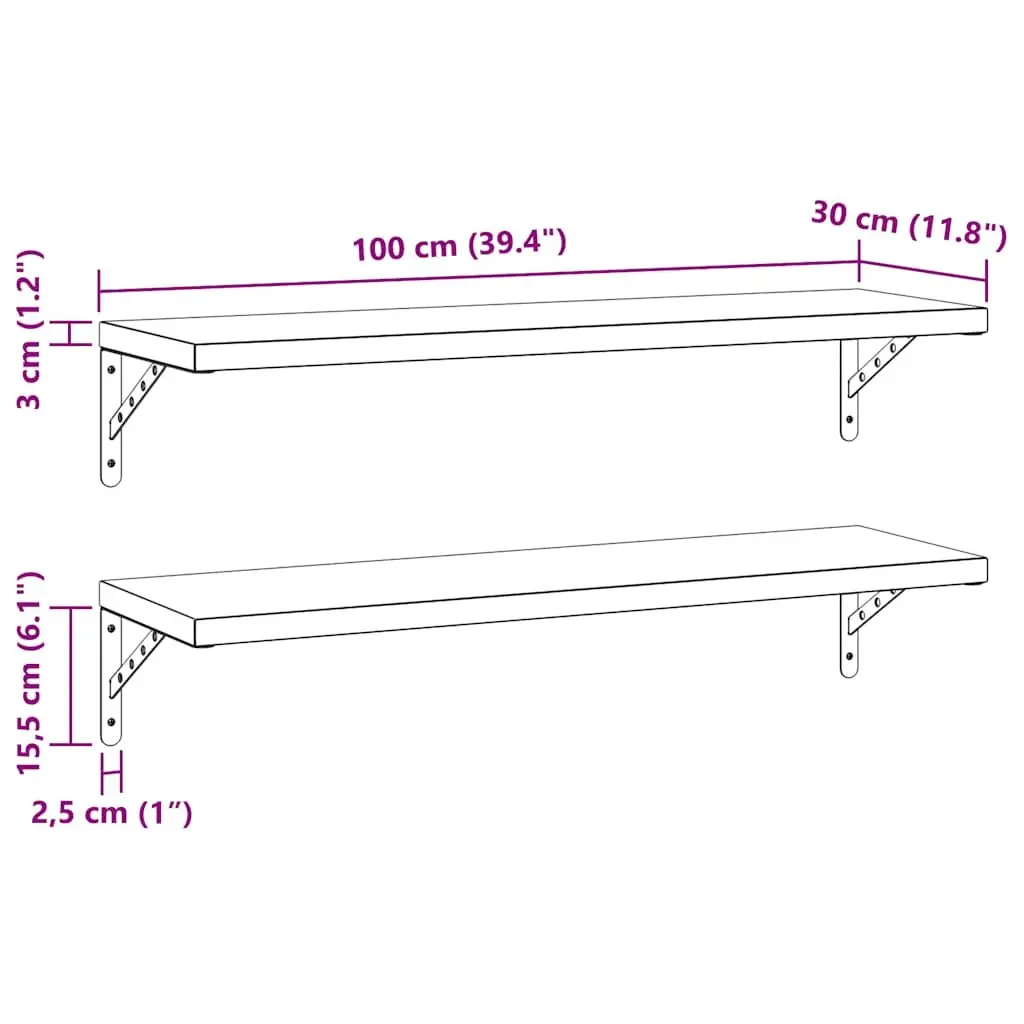 Stainless Steel Wall Shelves for Living Room Bedroom Office 100x30 cm 2 Piece