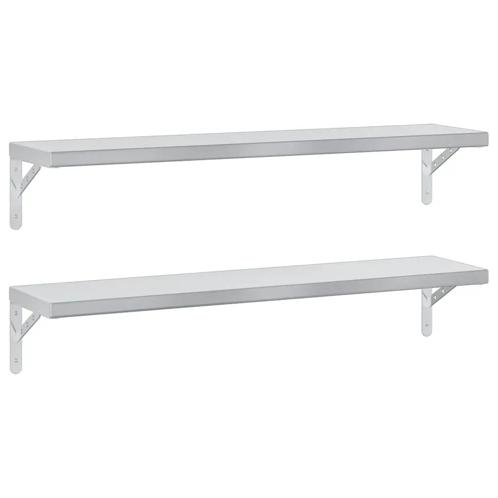 Silver Wall Shelves 2 pcs 100x23.5 cm
