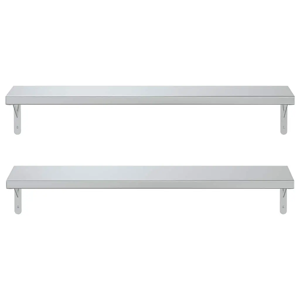 Silver Wall Shelves 2 pcs 100x23.5 cm