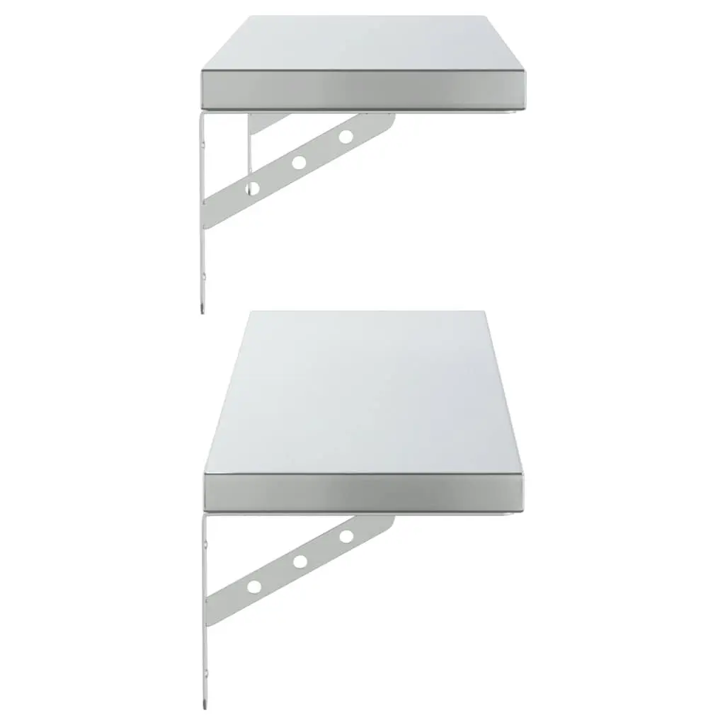 Silver Wall Shelves 2 pcs 100x23.5 cm