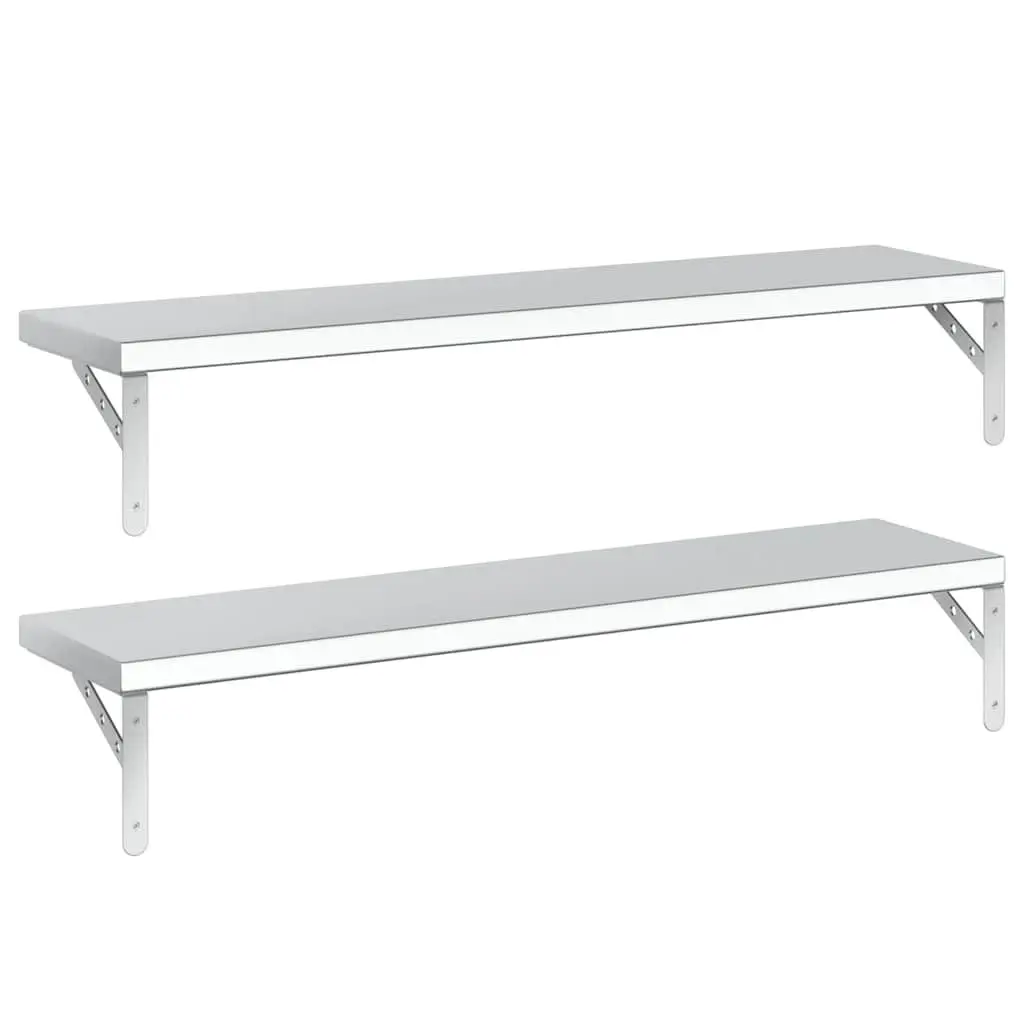 Silver Wall Shelves 2 pcs 100x23.5 cm