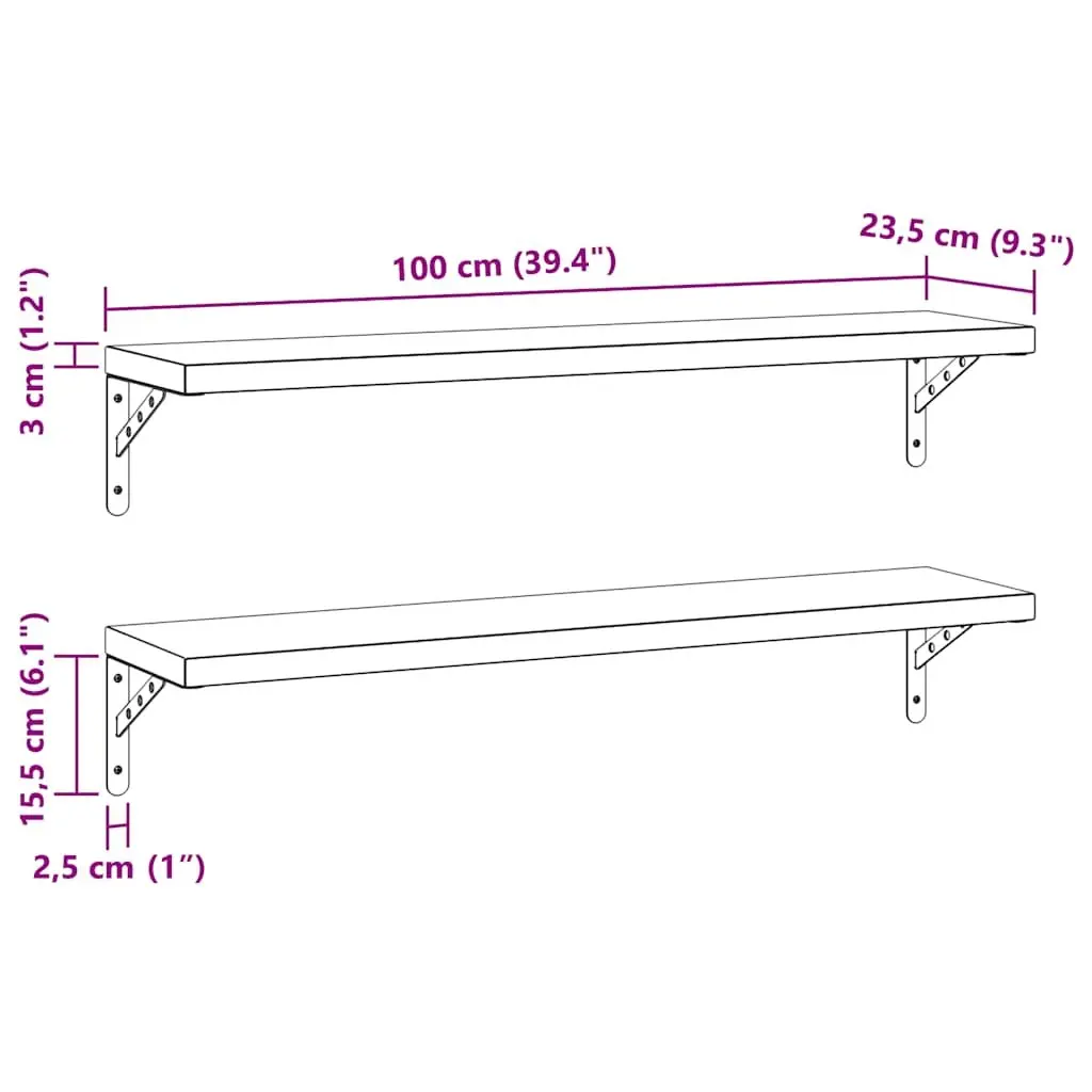 Silver Wall Shelves 2 pcs 100x23.5 cm