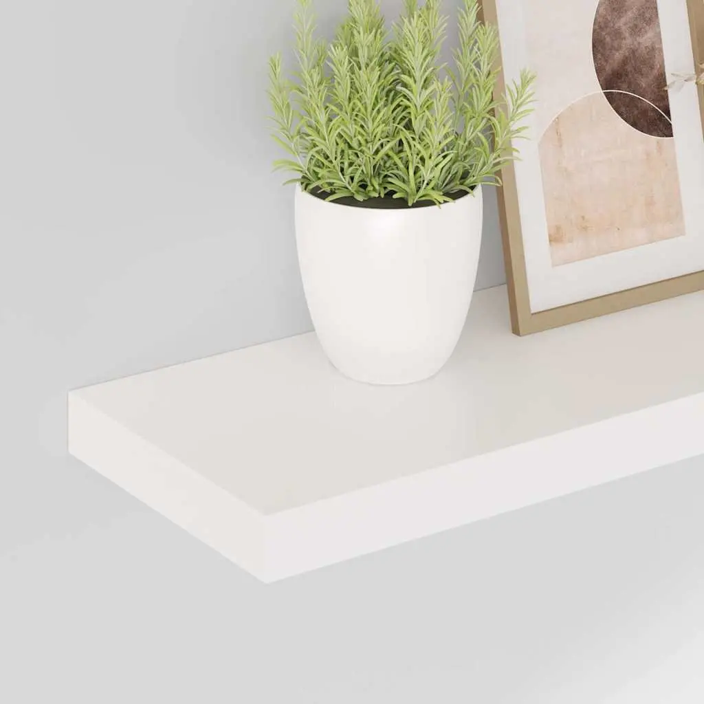 Floating Wall Shelves for Home Decor 60 x 23.5 x 3.8 cm High Gloss White 2 Piece