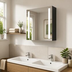 Bathroom Vanity Mirror Cabinet 62x14x60cm Anthracite LED Storage Unit