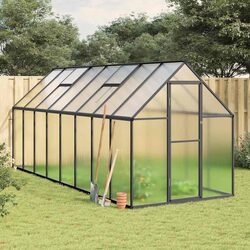 Spacious Greenhouse: 445 x 169 x 195 cm with Aluminium Frame