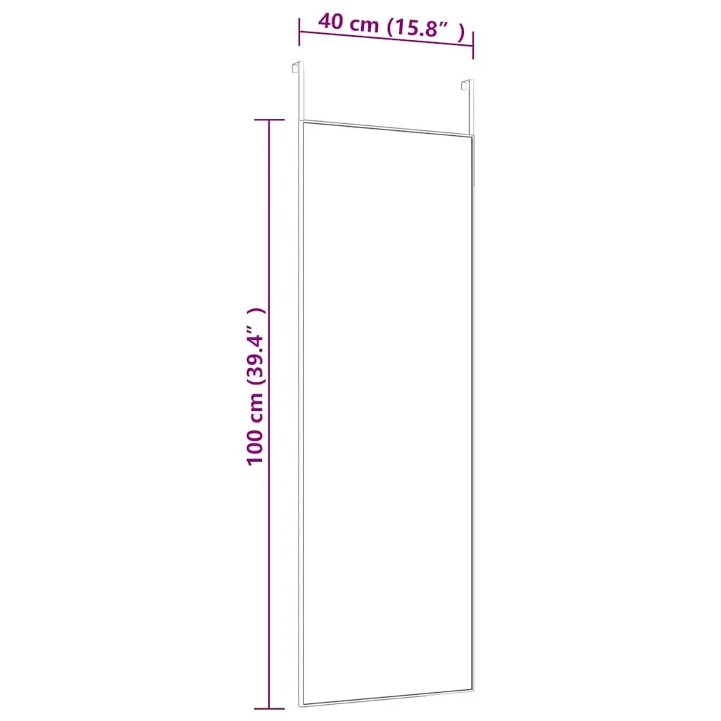 Door Mirror Black Wall Mounted 40x100cm Aluminum Frame Bedroom