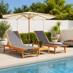 Specifications for 2 pcs Adjustable Backrest Sun Loungers