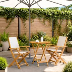 3 Piece Foldable Garden Bistro Set with Wooden Frame