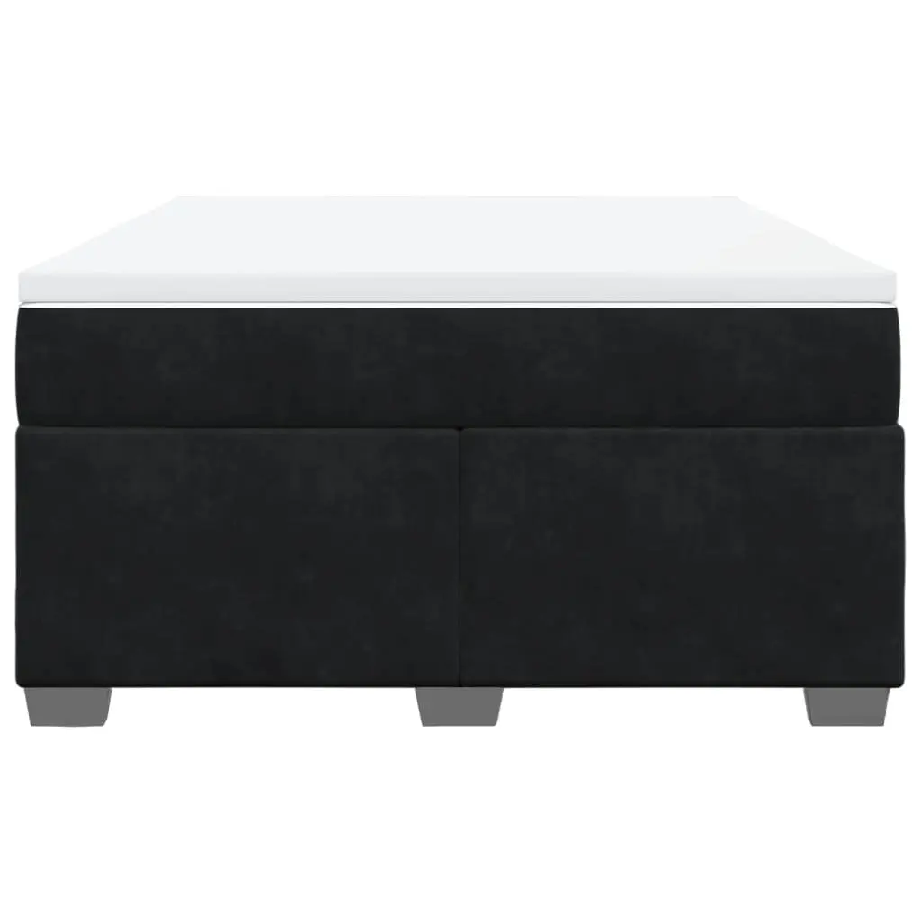 Double Box Spring Bed with Pocket Spring Mattress