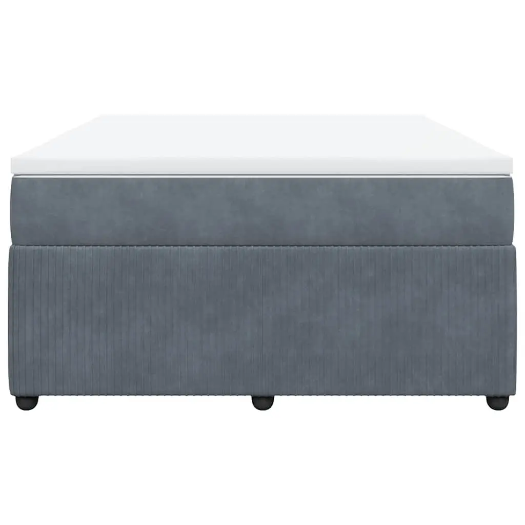 Box Spring Bed with Pocket Spring Mattress for Bedroom Double Grey Velvet Upholstered Frame