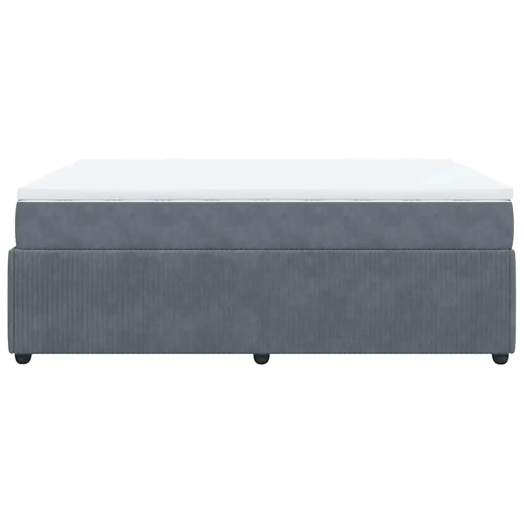 Box Spring Bed with Pocket Spring Mattress for Bedroom Double Grey Velvet Upholstered Frame