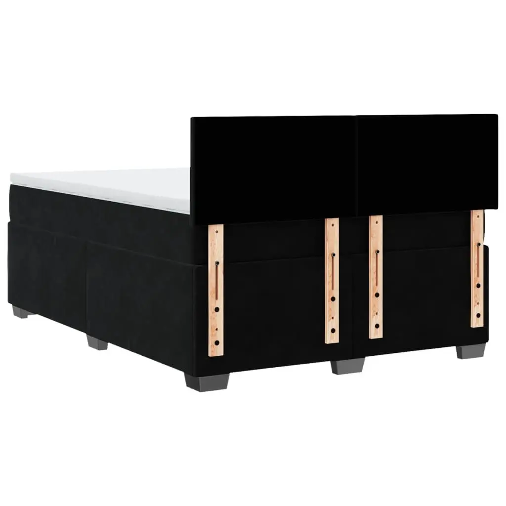 Double Box Spring Bed with Pocket Spring Mattress LED Lights Black Velvet