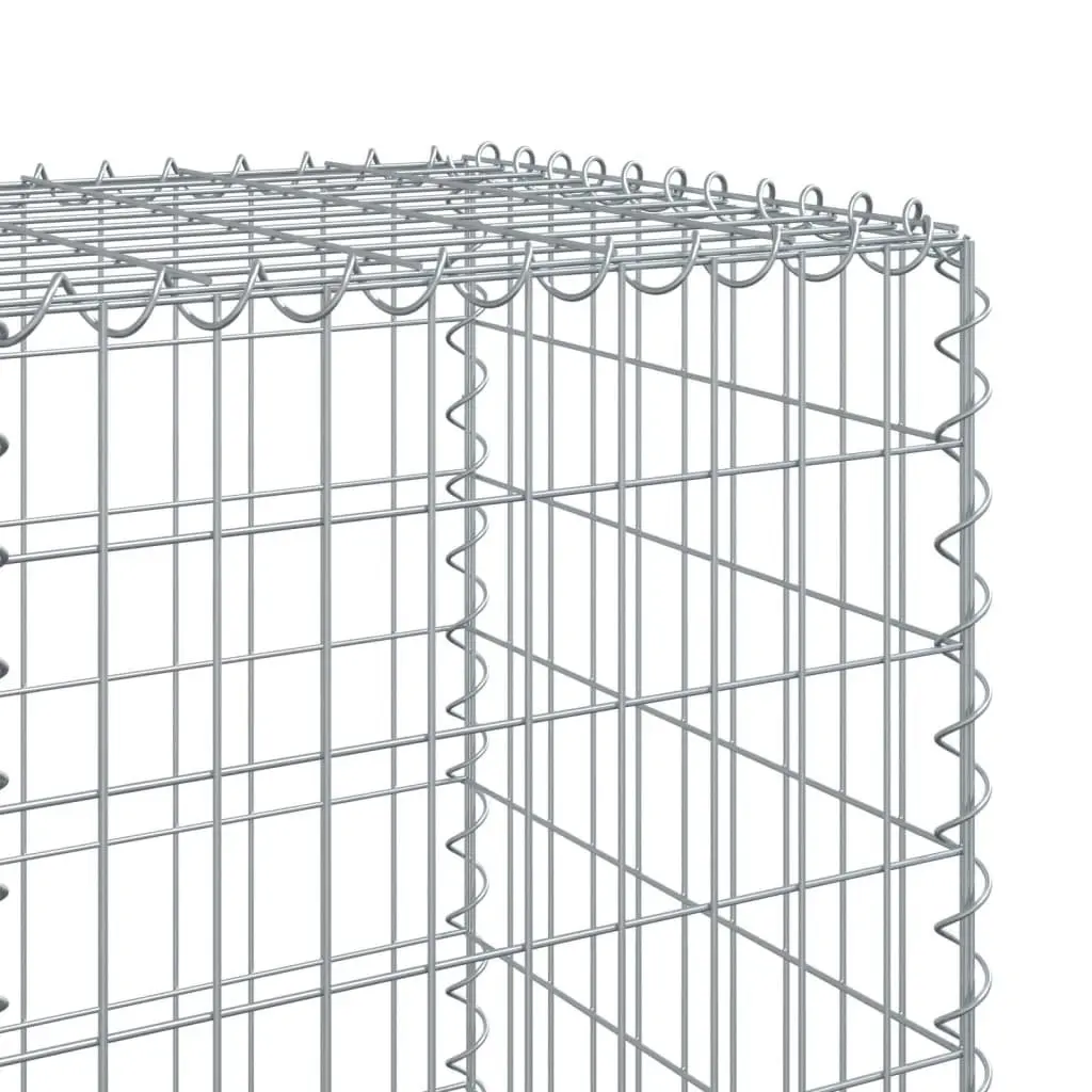 Gabion Basket for Garden 1100x50x150 cm Galvanised Iron Wire with Cover