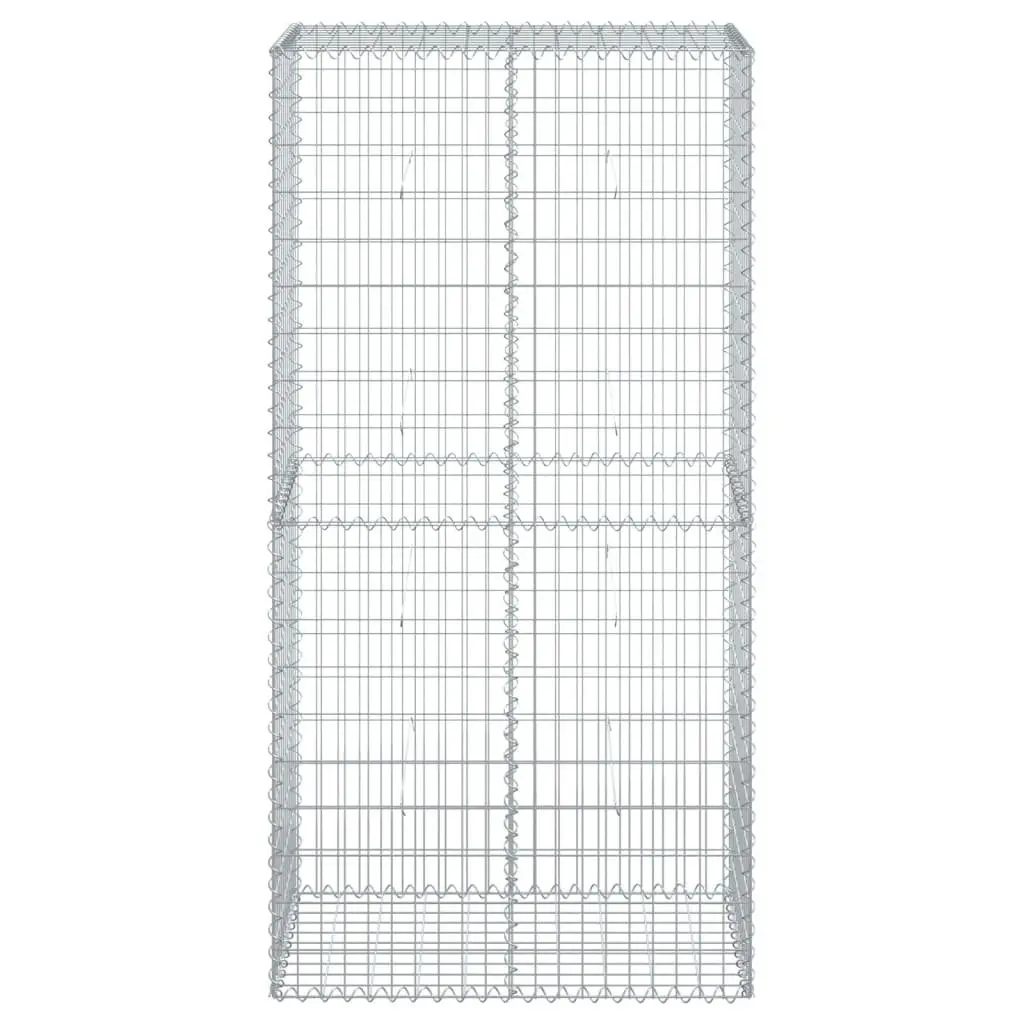 Gabion Basket for Garden Landscaping 100x50x200 cm Silver