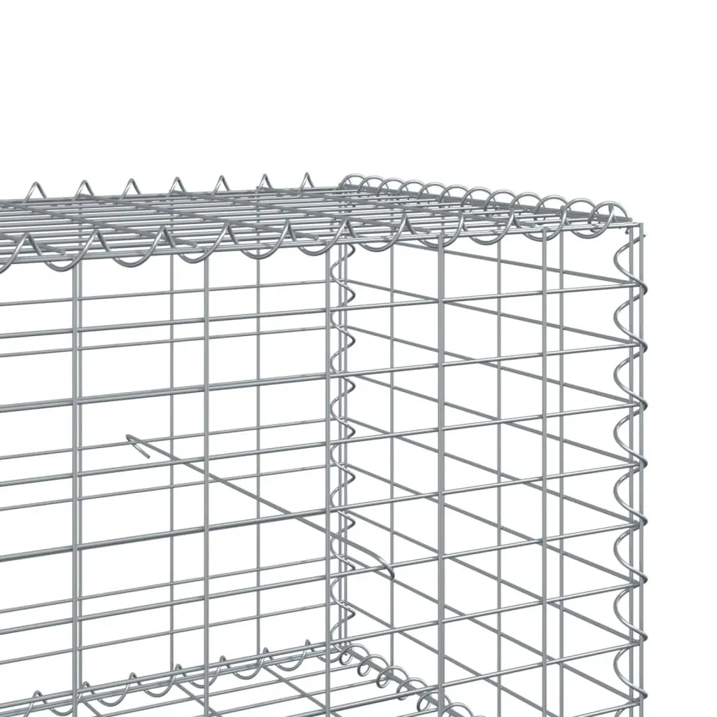 Gabion Basket 800x100x50 cm Silver Metal Wire