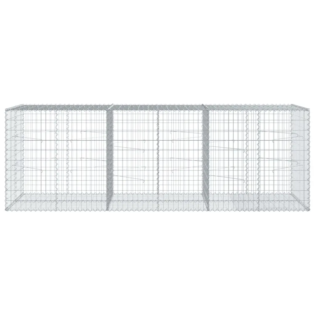 Gabion Basket for Garden 300x100x100 cm