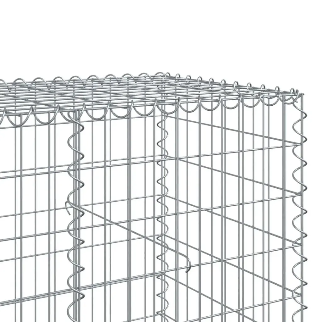 Gabion Basket with Cover 1100x100x100 cm Galvanised Iron Wire Garden Cage